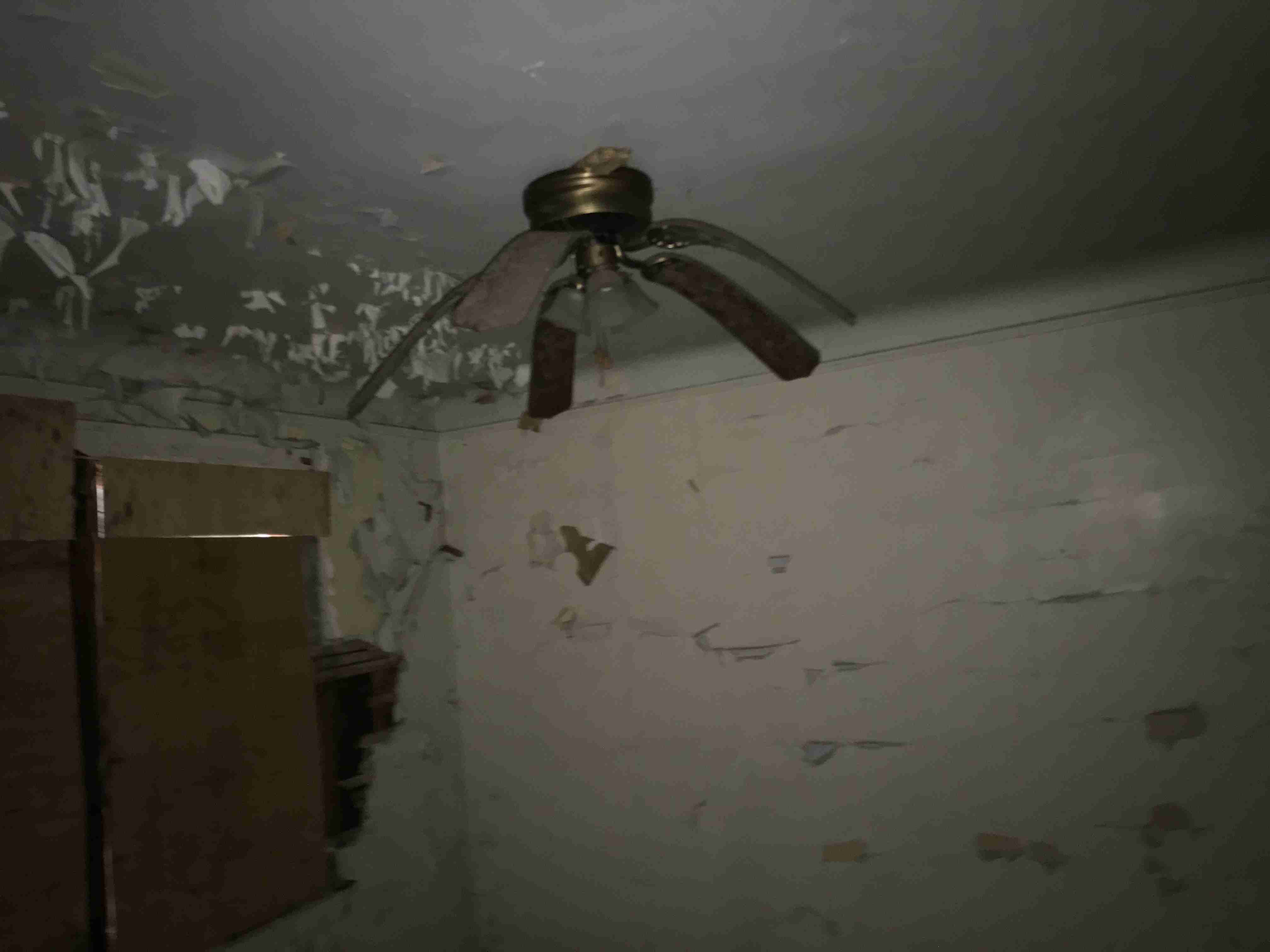 Photo Sep 10, 3 19 50 PM.jpg